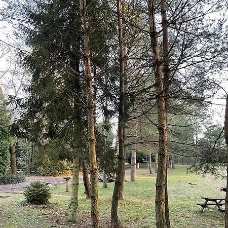 Villa Osada Parkowa, Kaszuby Msciszewice
