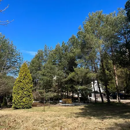 Osada Parkowa, Kaszuby