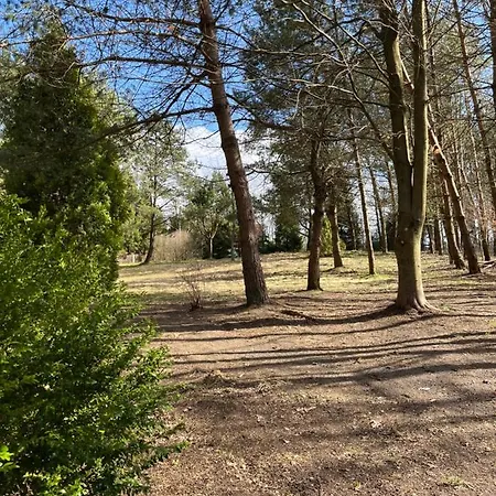 Osada Parkowa, Kaszuby