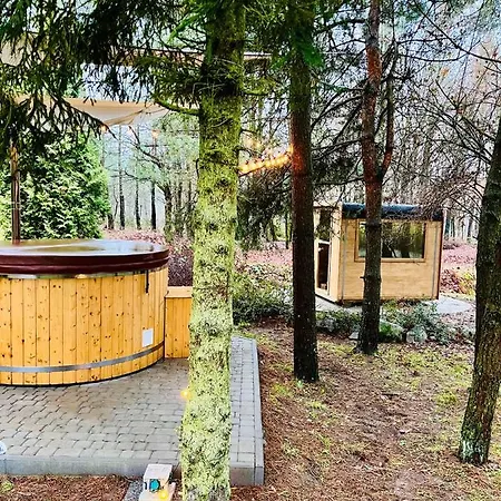 Osada Parkowa, Kaszuby Willa Msciszewice